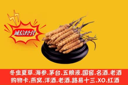 城西区求购回收虫草多少钱每克